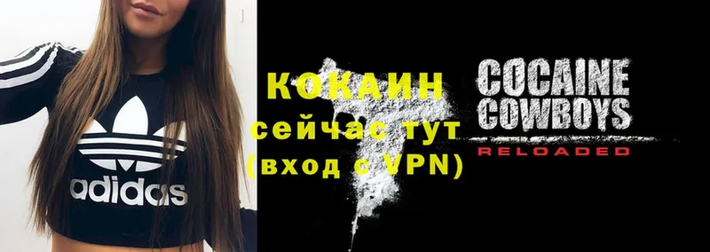 сколько стоит  Константиновск  Cocaine 99% 