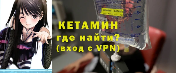 гидра Няндома