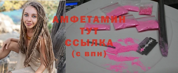 гидра Няндома