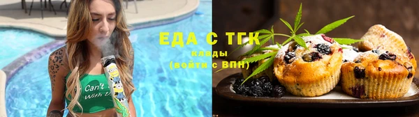 гидра Няндома