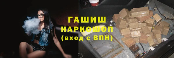 гидра Няндома