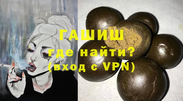 гидра Няндома
