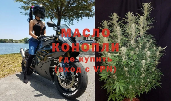 гидра Няндома