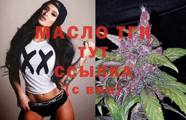 гидра Няндома
