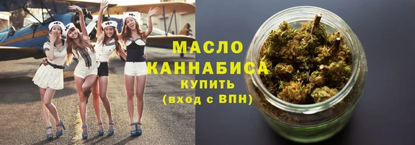 гидра Няндома
