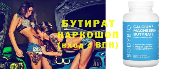 гидра Няндома