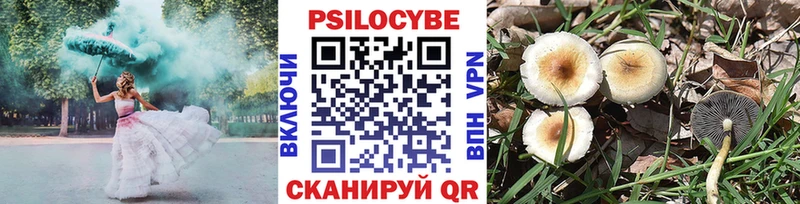 Галлюциногенные грибы Psilocybine cubensis  Константиновск 